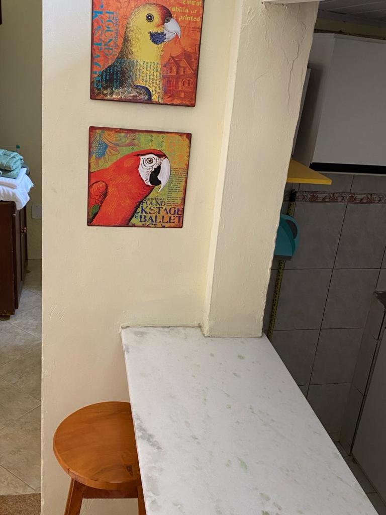 Casa de férias Casa Brandao